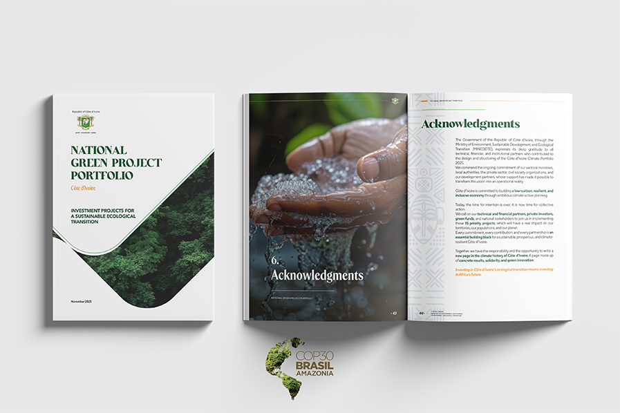 Green Project Portfolio